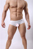 Boxer microperforado - Boxer - boxer, comfort, Hombre, red, tradicional - 365Briefs -