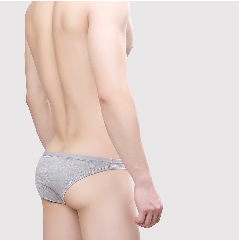 Slip algodon elefante - Bikini - algodon, atrevido, bikini, bulge, comfort, elefante, Hombre, tradicional - 365Briefs -